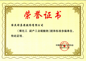 尊龙凯z6mg官网煤化工副产工业硫酸 钠荣誉证书